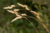  B005410croofm